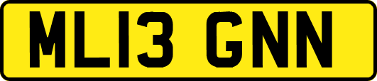 ML13GNN