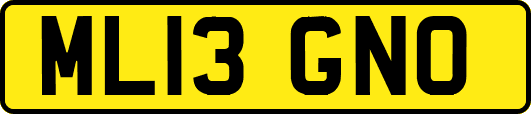 ML13GNO