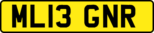 ML13GNR