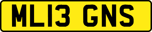 ML13GNS