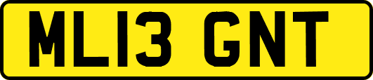ML13GNT