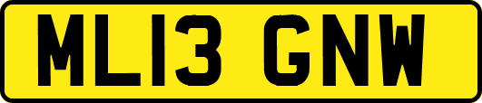 ML13GNW