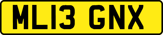 ML13GNX