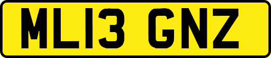 ML13GNZ