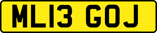 ML13GOJ