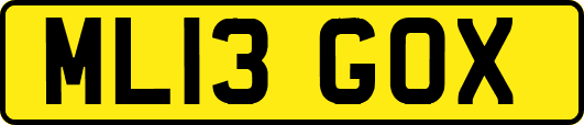 ML13GOX