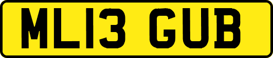 ML13GUB