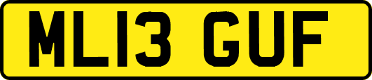 ML13GUF