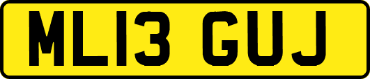 ML13GUJ