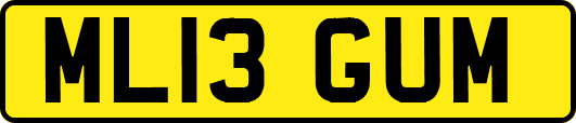 ML13GUM