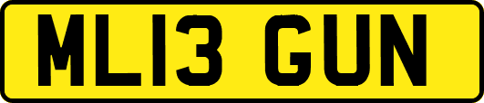 ML13GUN