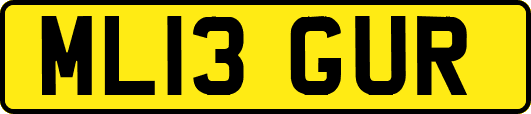ML13GUR
