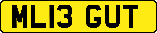 ML13GUT