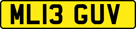 ML13GUV