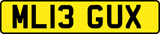 ML13GUX