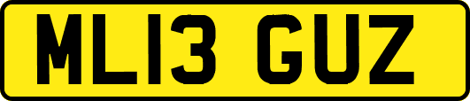 ML13GUZ