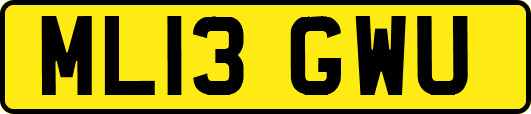 ML13GWU