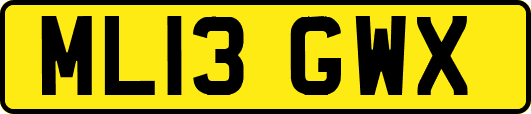 ML13GWX