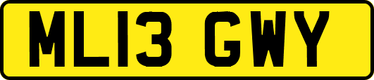 ML13GWY