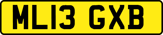 ML13GXB