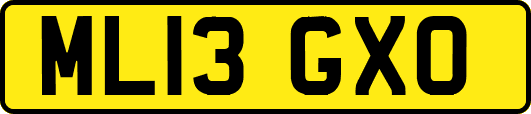 ML13GXO
