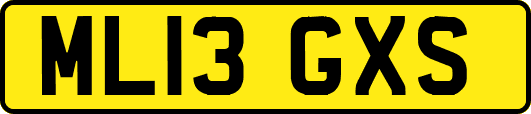 ML13GXS