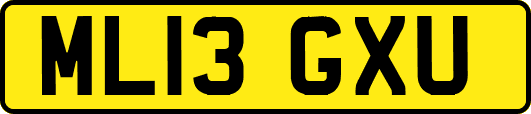 ML13GXU