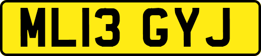 ML13GYJ