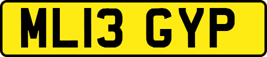 ML13GYP