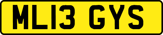 ML13GYS