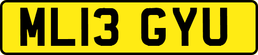 ML13GYU