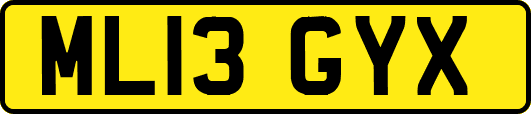 ML13GYX