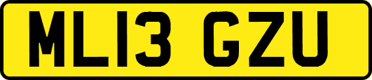 ML13GZU