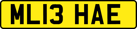ML13HAE