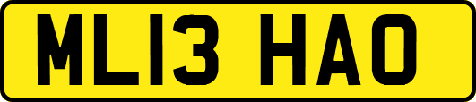 ML13HAO