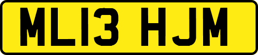 ML13HJM