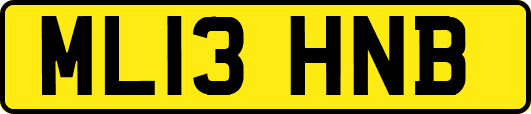 ML13HNB