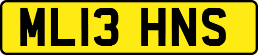 ML13HNS