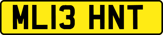 ML13HNT
