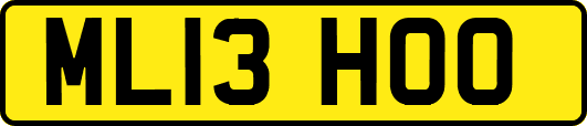 ML13HOO
