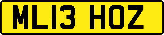 ML13HOZ