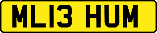 ML13HUM