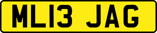 ML13JAG