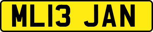 ML13JAN