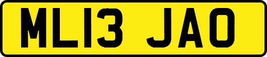 ML13JAO