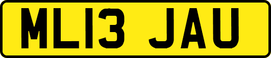 ML13JAU