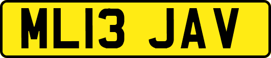 ML13JAV
