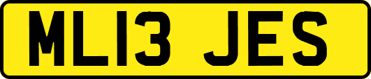 ML13JES