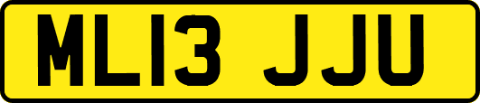 ML13JJU