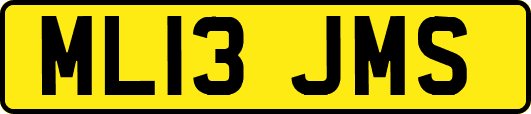 ML13JMS